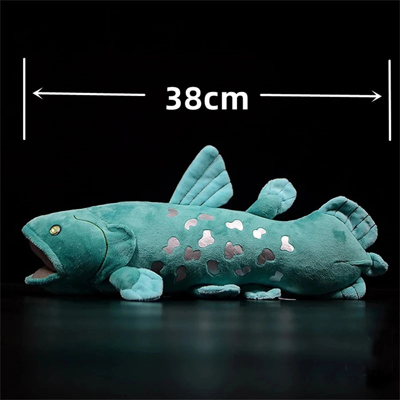 "Cole" The Coelacanth Plushi