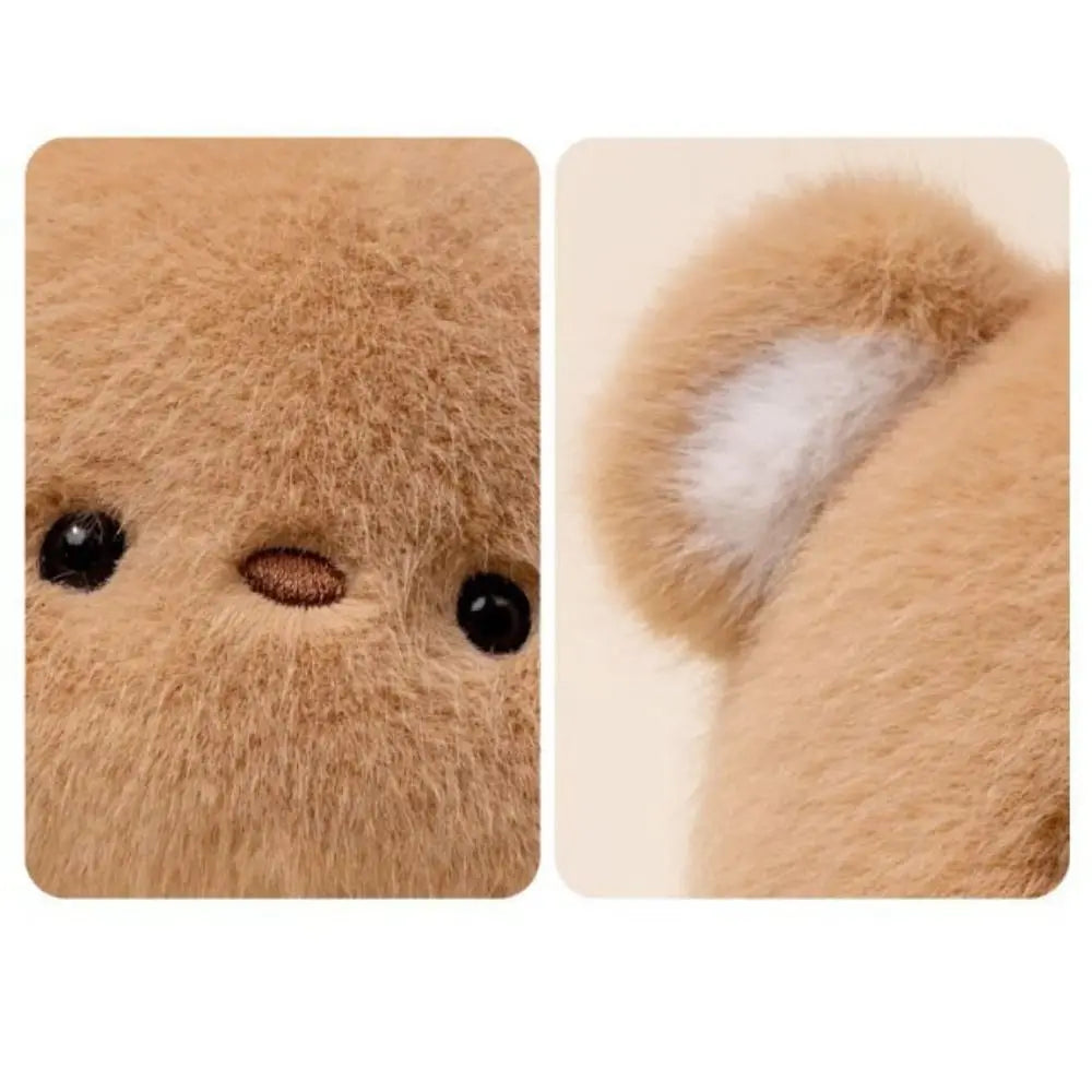 Bruno Bear